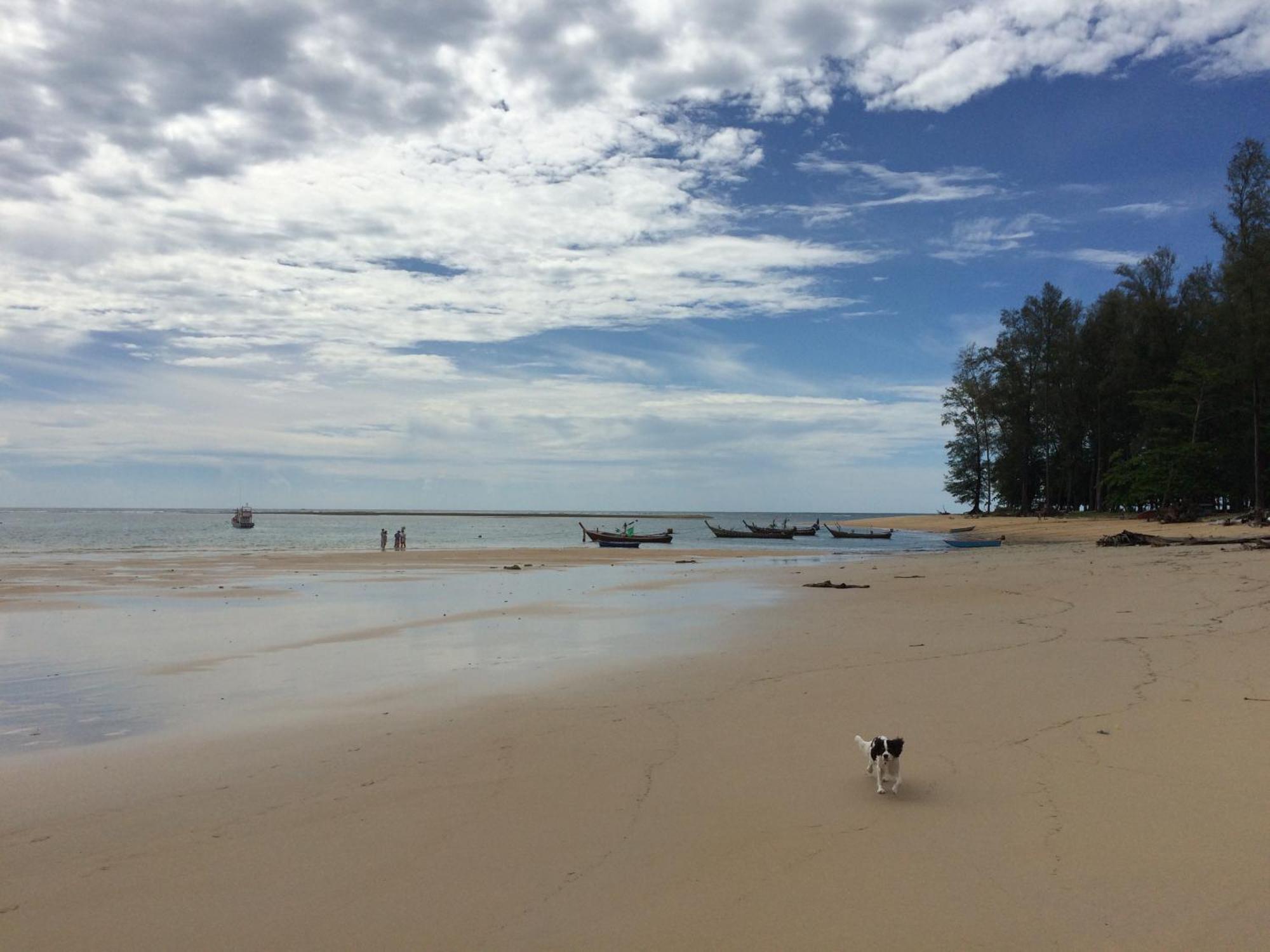 ホテル ナイス ナップ Nai Yang Beach エクステリア 写真